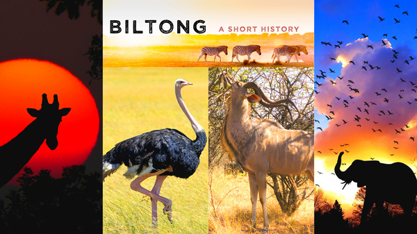 African animal scenes to show sources of biltong - giraff, elephant, kudu, ostrich & zebra